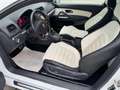 Volkswagen Scirocco Scirocco 2.0 TSI DSG-23 von 100"Collectors Edition Weiß - thumbnail 20