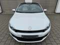 Volkswagen Scirocco Scirocco 2.0 TSI DSG-23 von 100"Collectors Edition Weiß - thumbnail 5