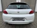 Volkswagen Scirocco Scirocco 2.0 TSI DSG-23 von 100"Collectors Edition Weiß - thumbnail 12