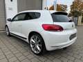 Volkswagen Scirocco Scirocco 2.0 TSI DSG-23 von 100"Collectors Edition Weiß - thumbnail 11