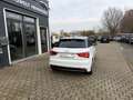 Audi A1 1.2 ambition*S-Line*12M.Garantie*Finanz.* Bianco - thumbnail 13