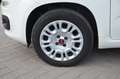 Fiat Panda Panda 1.2 Easy Blanc - thumbnail 6