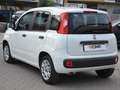 Fiat Panda Panda 1.2 Easy Blanc - thumbnail 2