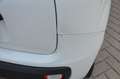 Fiat Panda Panda 1.2 Easy Blanc - thumbnail 32