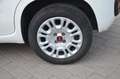 Fiat Panda Panda 1.2 Easy Blanc - thumbnail 24