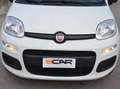 Fiat Panda Panda 1.2 Easy Blanc - thumbnail 20