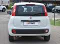 Fiat Panda Panda 1.2 Easy Blanc - thumbnail 18