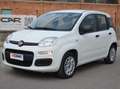 Fiat Panda Panda 1.2 Easy Blanc - thumbnail 1