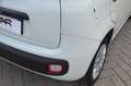 Fiat Panda Panda 1.2 Easy Blanc - thumbnail 31