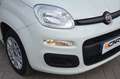 Fiat Panda Panda 1.2 Easy Blanc - thumbnail 22