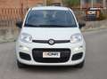 Fiat Panda Panda 1.2 Easy Blanc - thumbnail 5