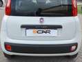 Fiat Panda Panda 1.2 Easy Blanc - thumbnail 30