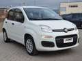 Fiat Panda Panda 1.2 Easy Blanc - thumbnail 4