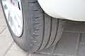 Fiat Panda Panda 1.2 Easy Blanc - thumbnail 25