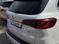 BMW X5 xDrive30d xLine INDIVIDUAL *IVA ESPOSTA* Wit - thumbnail 20