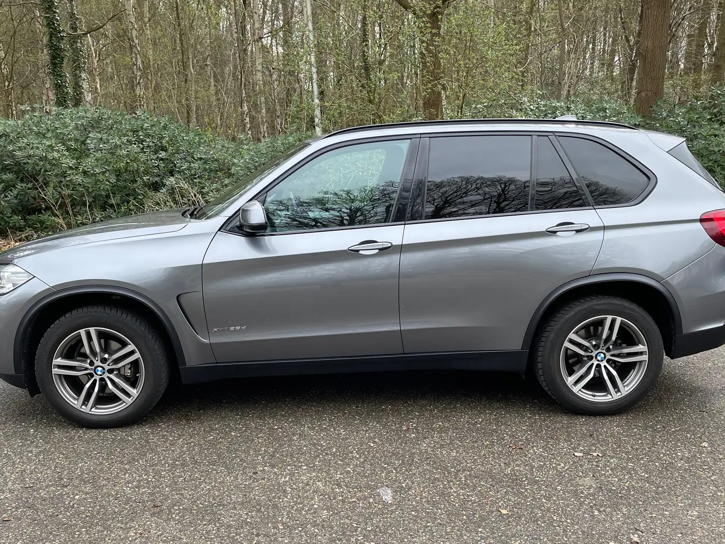 BMW X5 X5 xDrive25d Zilver - 2