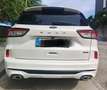 Ford Kuga 2.5 Duratec PHEV ST-Line 4x2 Blanco - thumbnail 4