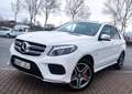 Mercedes-Benz GLE 500 e 4Matic Weiß - thumbnail 22