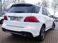 Mercedes-Benz GLE 500 e 4Matic Blanco - thumbnail 10