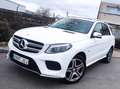Mercedes-Benz GLE 500 e 4Matic Blanco - thumbnail 8