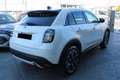 Fiat 600 1.2 hybrid La Prima 110cv AUTOMATICA Blanc - thumbnail 5