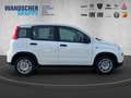 Fiat Panda 1.0 Mild Hybrid MY24 PDC TEMPOMAT SPURHALT Bianco - thumbnail 6