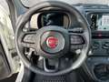 Fiat Panda 1.0 Mild Hybrid MY24 PDC TEMPOMAT SPURHALT Bianco - thumbnail 11