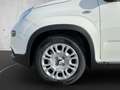Fiat Panda 1.0 Mild Hybrid MY24 PDC TEMPOMAT SPURHALT Weiß - thumbnail 16