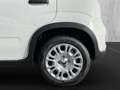 Fiat Panda 1.0 Mild Hybrid MY24 PDC TEMPOMAT SPURHALT Weiß - thumbnail 17