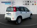 Fiat Panda 1.0 Mild Hybrid MY24 PDC TEMPOMAT SPURHALT Bianco - thumbnail 5
