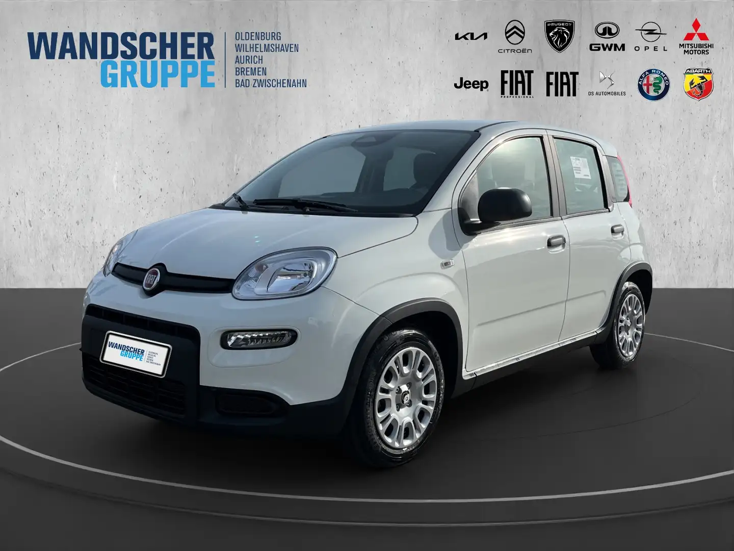 Fiat Panda 1.0 Mild Hybrid MY24 PDC TEMPOMAT SPURHALT Bianco - 1