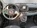 Fiat Panda 1.0 Mild Hybrid MY24 PDC TEMPOMAT SPURHALT Bianco - thumbnail 13