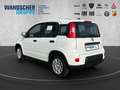 Fiat Panda 1.0 Mild Hybrid MY24 PDC TEMPOMAT SPURHALT Bianco - thumbnail 3
