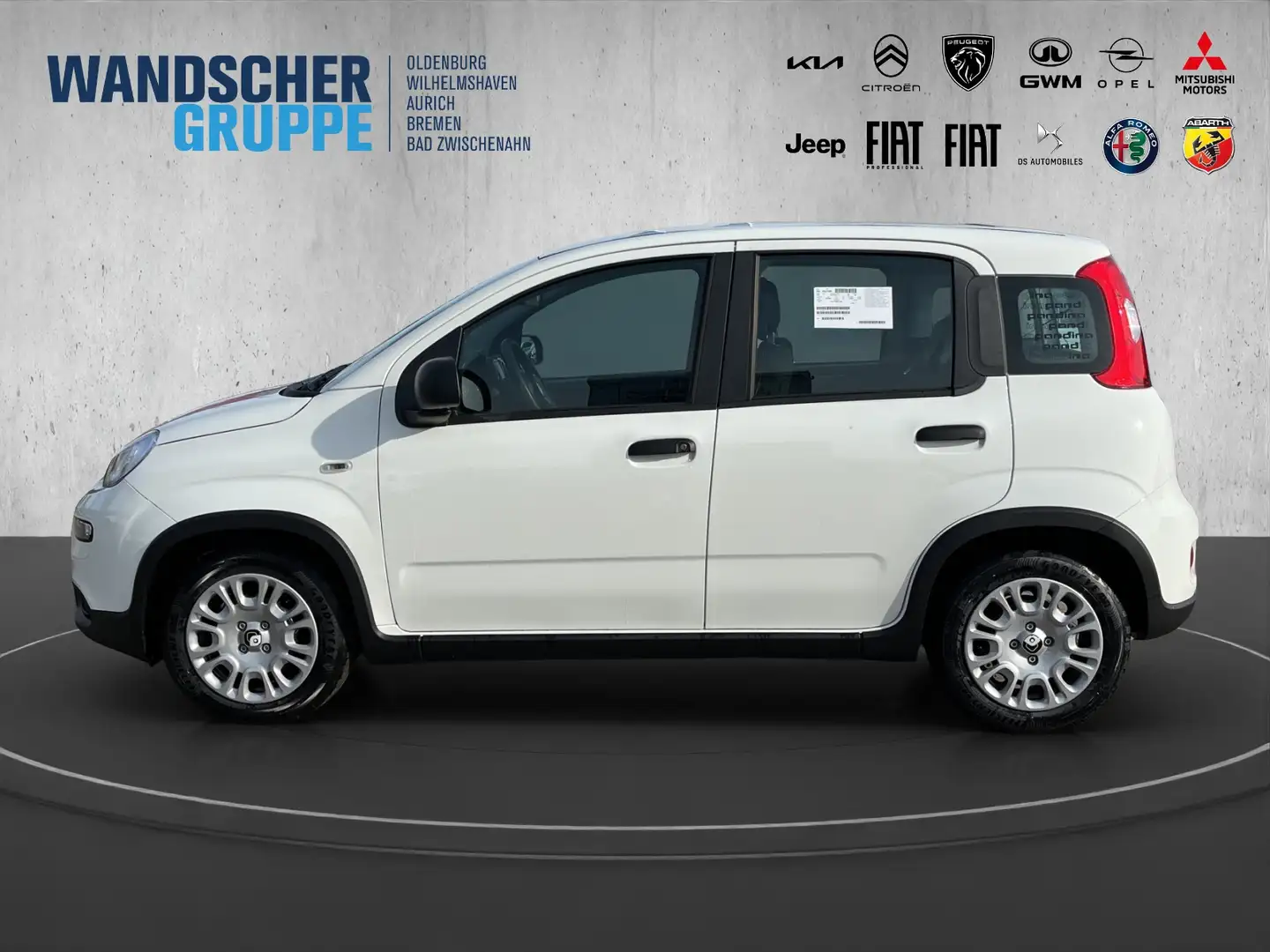 Fiat Panda 1.0 Mild Hybrid MY24 PDC TEMPOMAT SPURHALT Bianco - 2