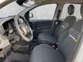 Fiat Panda 1.0 Mild Hybrid MY24 PDC TEMPOMAT SPURHALT Bianco - thumbnail 9