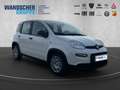 Fiat Panda 1.0 Mild Hybrid MY24 PDC TEMPOMAT SPURHALT Bianco - thumbnail 7