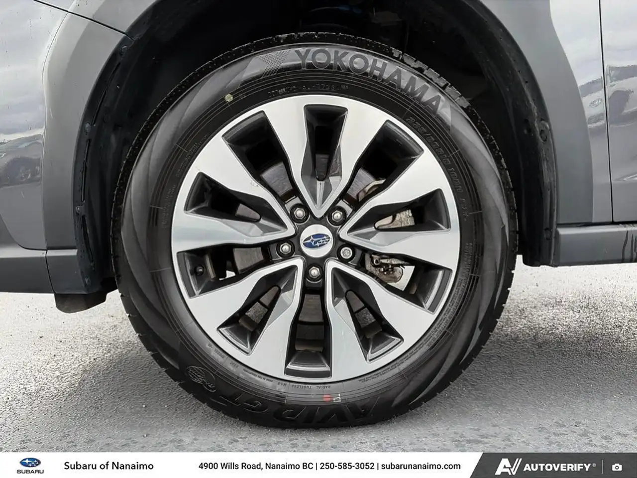 Subaru OUTBACK fotografie Subaru OUTBACK