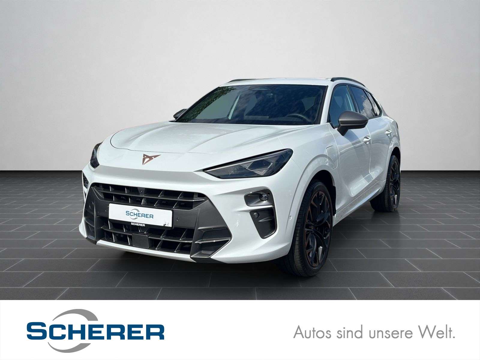 Cupra Terramar occasion
