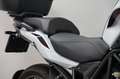 Benelli TRK 502 X Білий - thumbnail 15