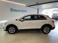 Audi Q3 Q3 35 TFSI S tronic Business Advanced Weiß - thumbnail 3