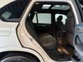 BMW X5 M50 d Shadow Line/Panorama+AHK+Memory Weiß - thumbnail 18