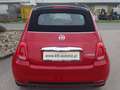 Fiat 500 Cabrio 1.0 GSE Hybrid ***leasingfähig*** Rot - thumbnail 5