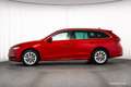 Skoda Octavia Combi Selection TDI PANO WINTER-PREMIUM TOP-DEAL++ Rot - thumbnail 3