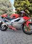 Aprilia RSV 1000 R Rouge - thumbnail 3