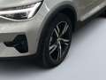 Volvo XC40 Plus Dark 2WD Grau - thumbnail 6