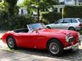 Austin-Healey 100 100/6 BN4 6-Zylinder Reihenmotor Rosso - thumbnail 8