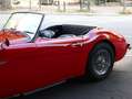 Austin-Healey 100 100/6 BN4 6-Zylinder Reihenmotor Rosso - thumbnail 7