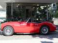 Austin-Healey 100 100/6 BN4 6-Zylinder Reihenmotor Rosso - thumbnail 2