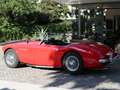 Austin-Healey 100 100/6 BN4 6-Zylinder Reihenmotor Rosso - thumbnail 3