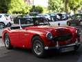 Austin-Healey 100 100/6 BN4 6-Zylinder Reihenmotor Rosso - thumbnail 6